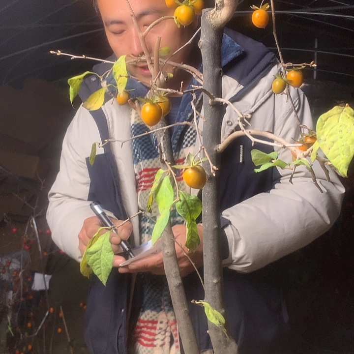 吴***生无花朵我们的目标