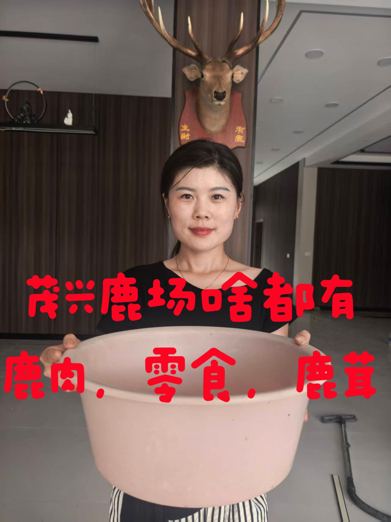 浚县善堂鹿场特产路茸浚县特产