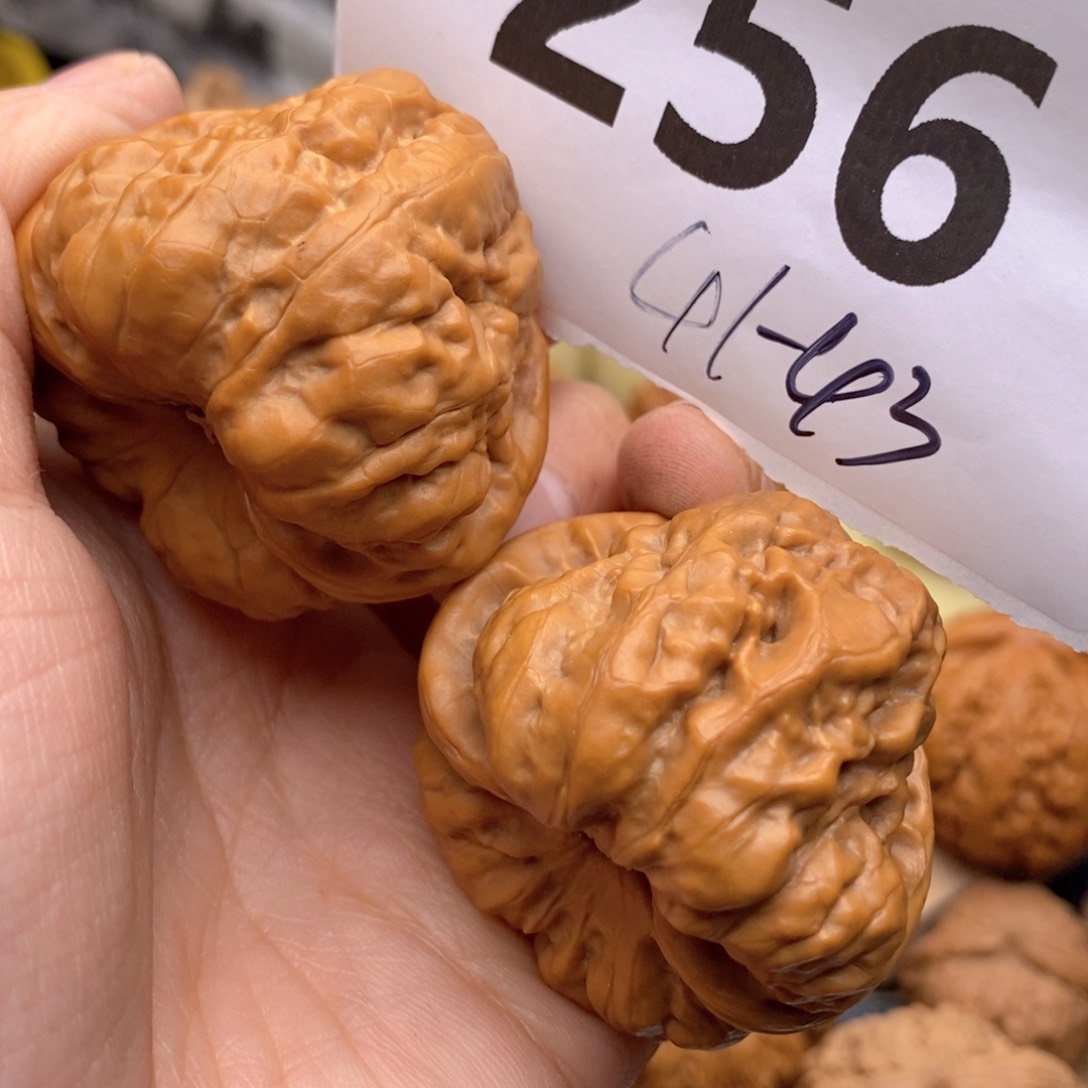 文玩核桃把件256号41蛙