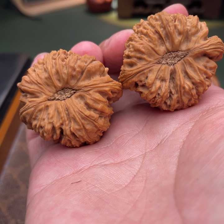 核桃手串/手链一**散全品大眼睛南疆