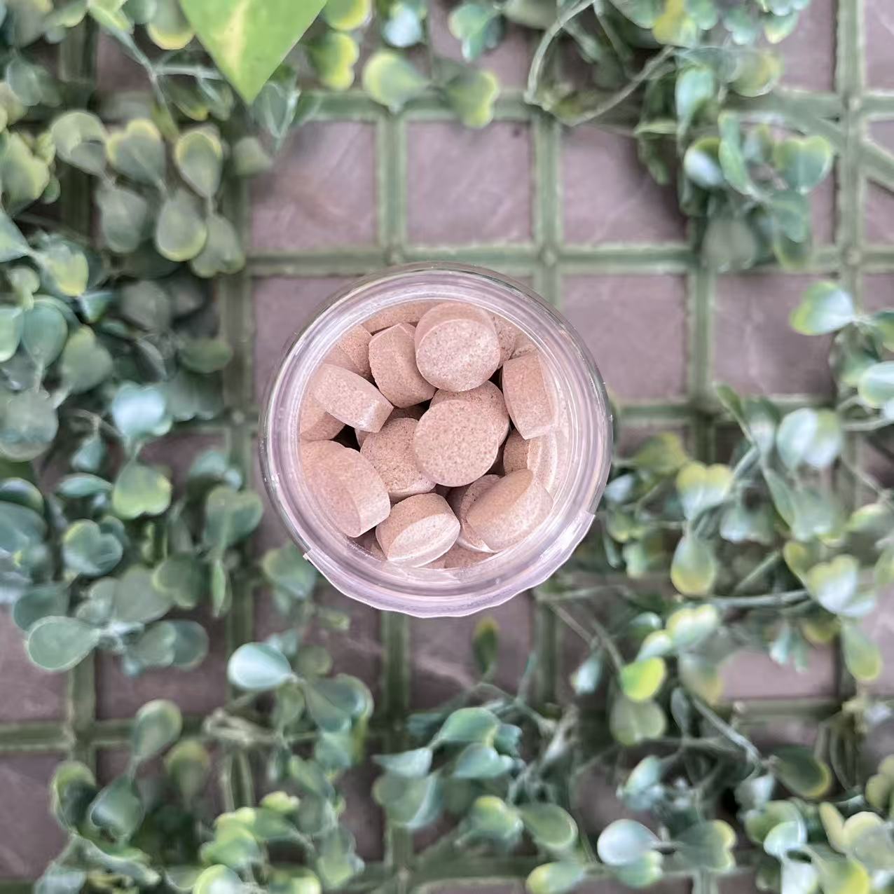  雨腾古茶  “浩” G精Y康 协“全 神J”白Z珠60g/盒（12月24）