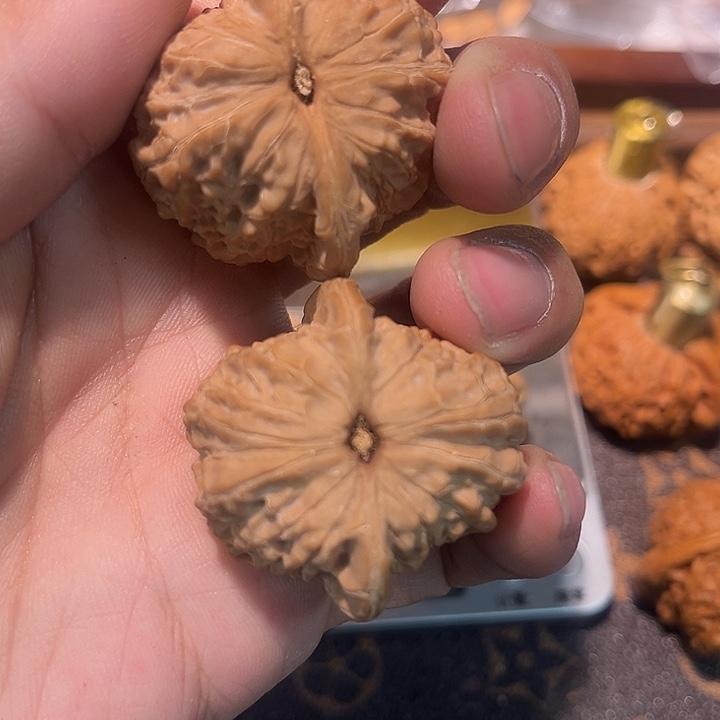 小***涵核桃全品无修血麒麟微瑕疵