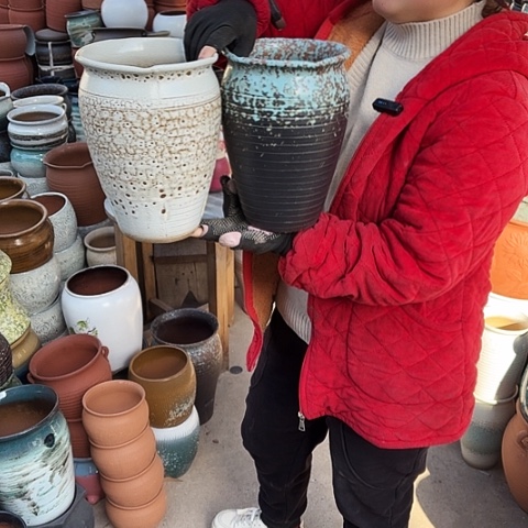 口17高25盆子盆子。