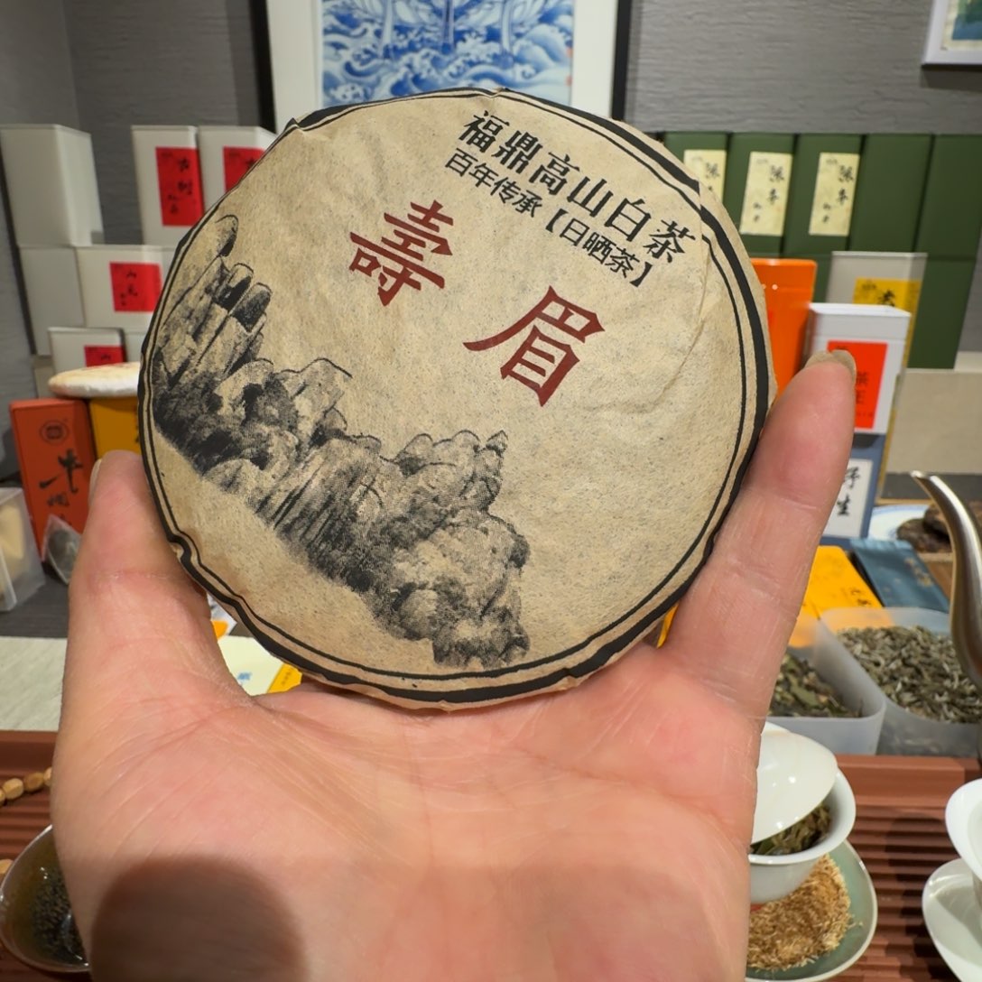 100克茶饼白茶100克茶饼白茶