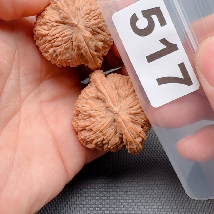 文玩核桃把件无白狮42