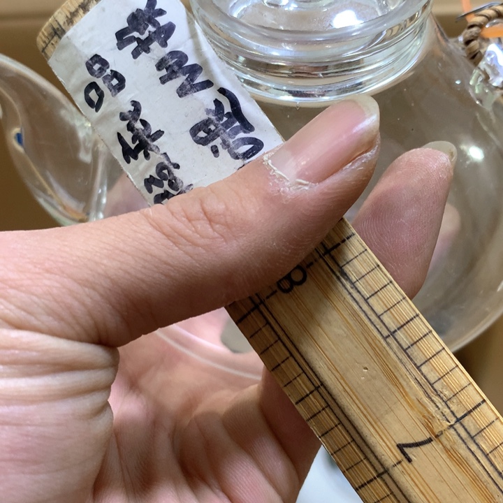 盘咩*射手和狮子在爱情面前也没有办法不让