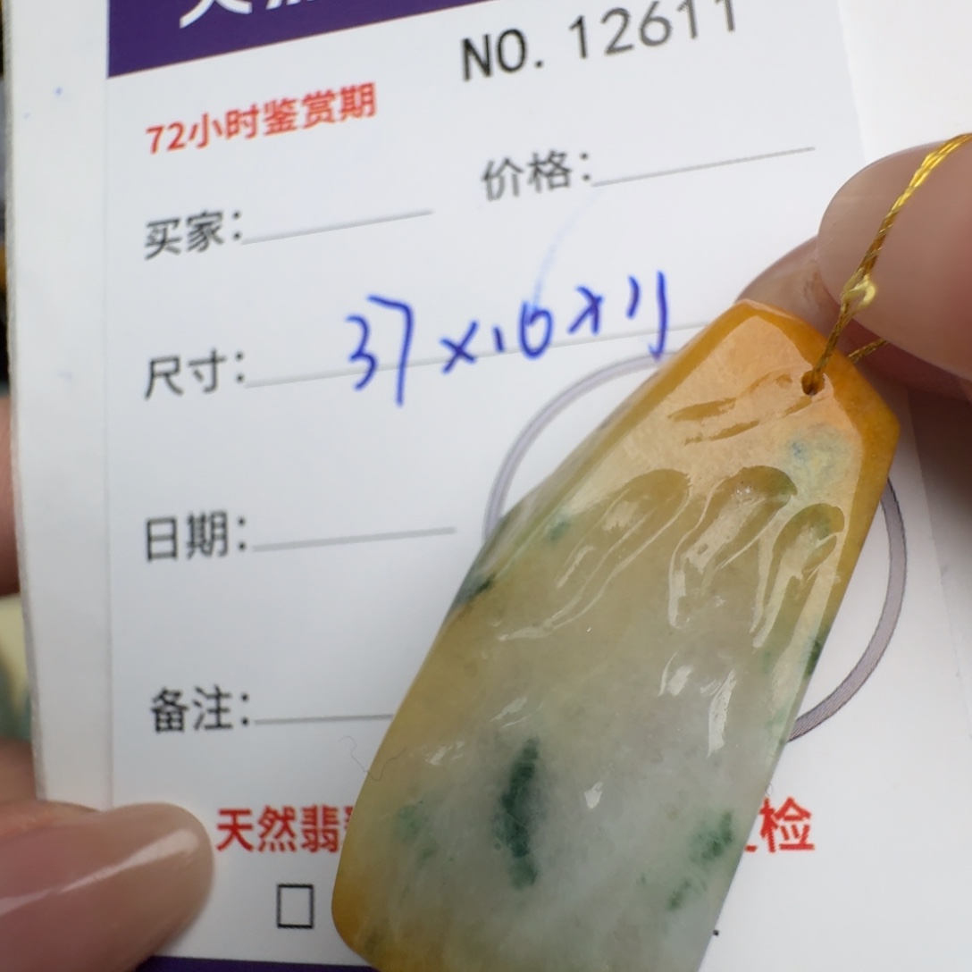 翡翠颈饰未镶嵌原石12611