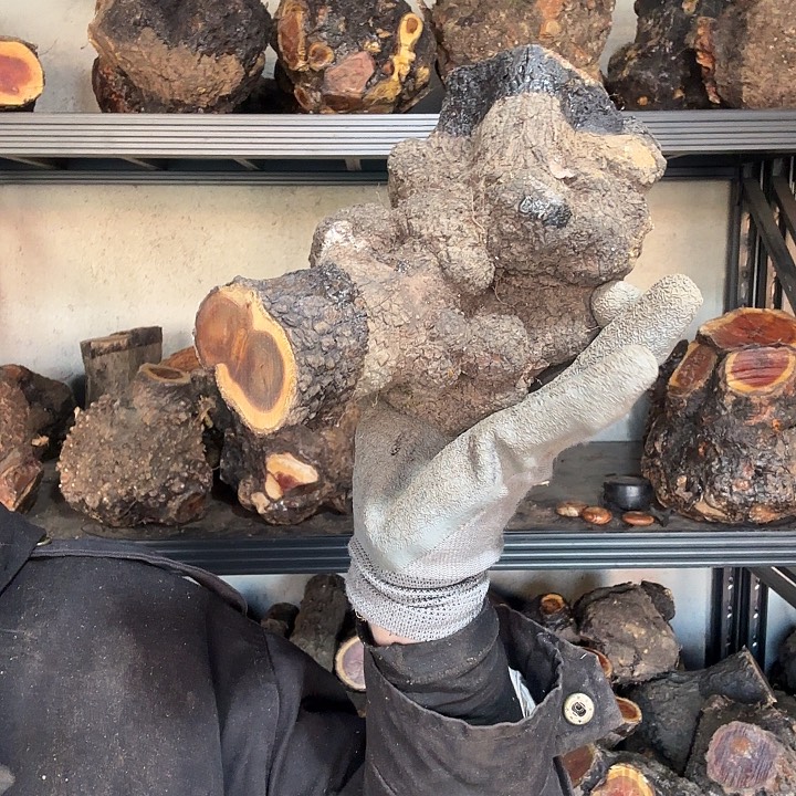 用***1香榧木火琉璃的故事是一个人