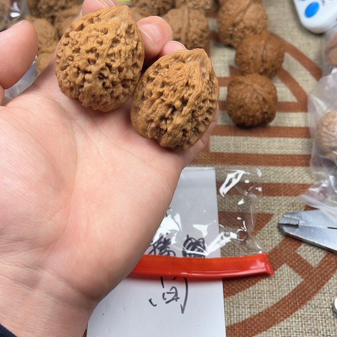 核桃把件38全品粗筋蚂蚁王