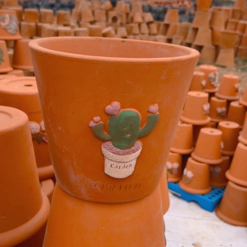 口20高18微瑕仙人掌