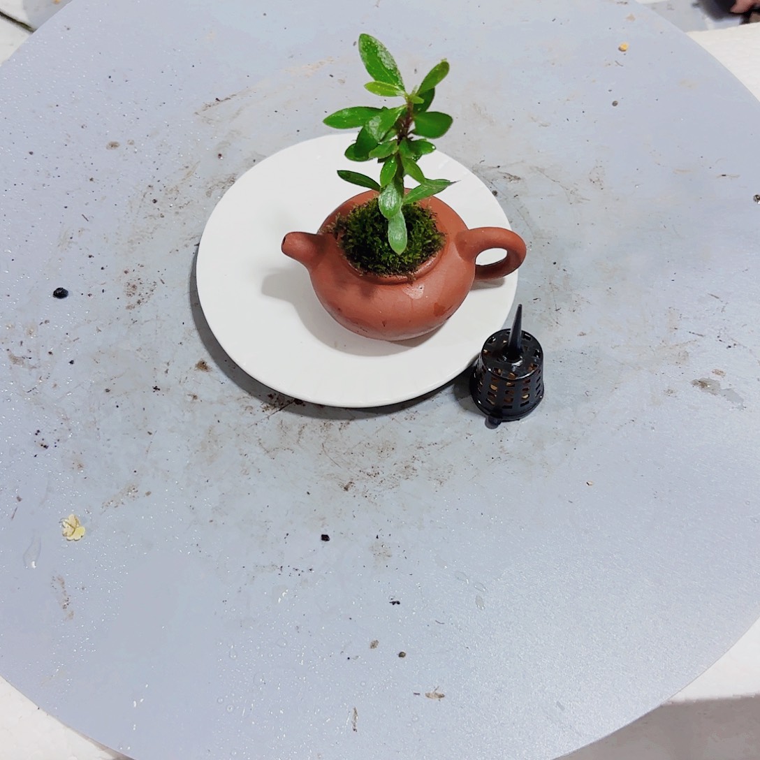 ?****树一物一拍所见即所得284