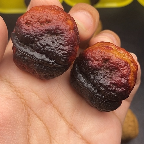 文玩核桃把件36尺肌肉蛙