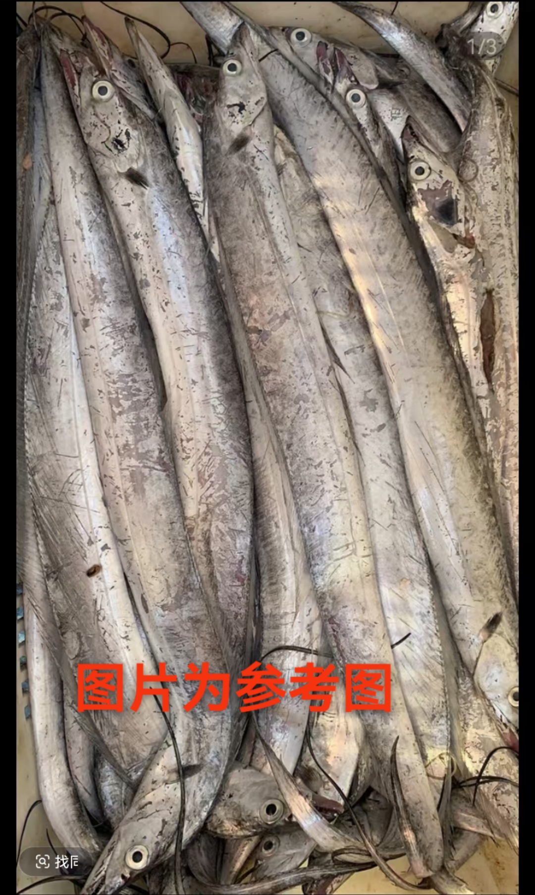 大连发货 野生刀鱼（顺丰包邮）有破肚掉鳞 介意勿拍