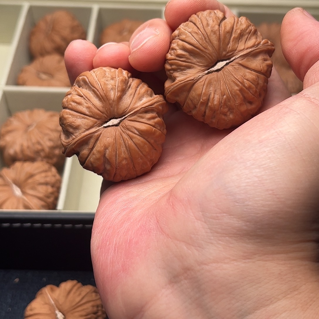 Y***-把件文玩核桃528 y