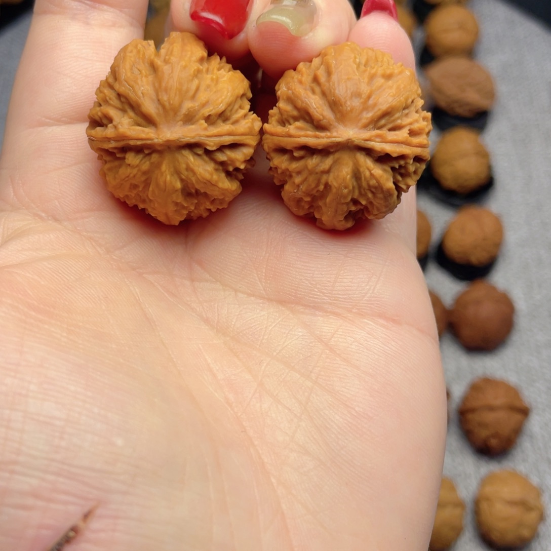 把件文玩核桃暴龙粗筋