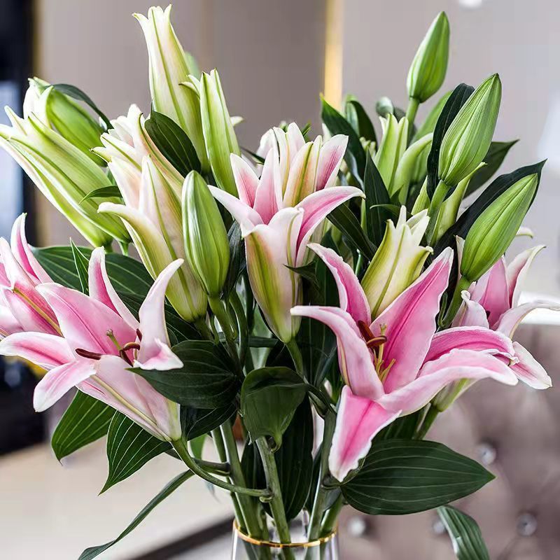 云南基地直发香水百合鲜花真花束室内装饰水养插花