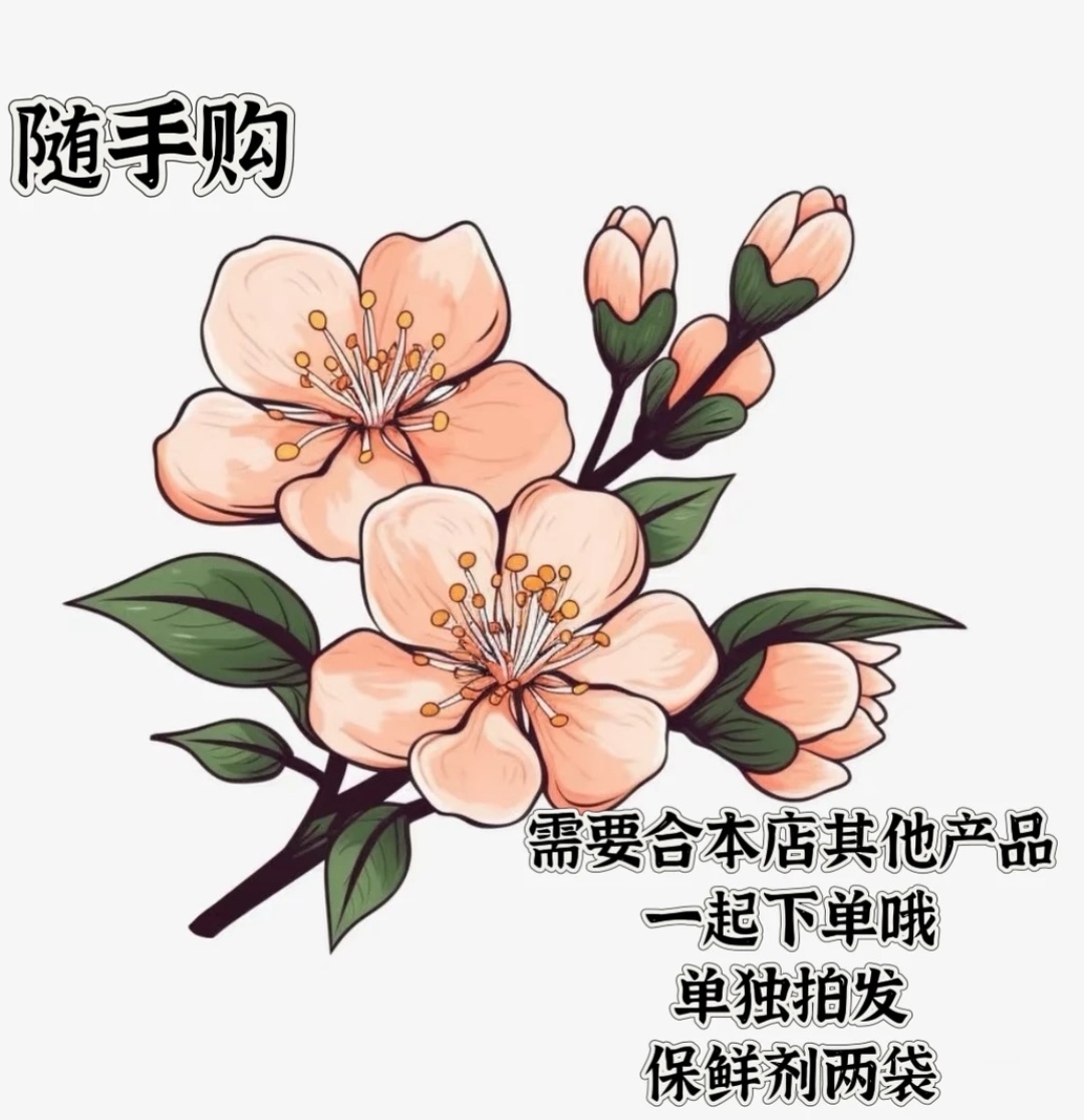 随手购【注意；凑单正价花后，在拍随手购，单拍随手购默认发一枝花