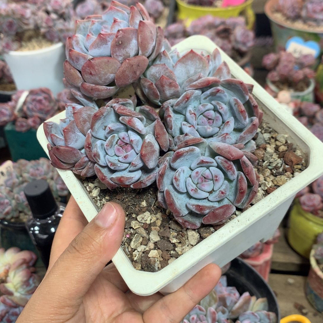 哈哈哈哈哈哈哈哈哈9