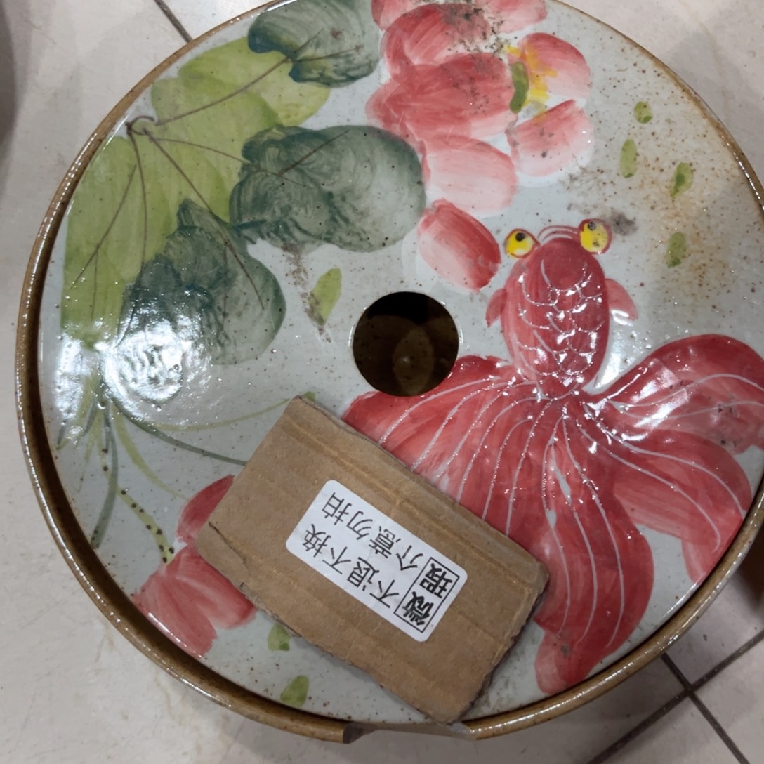 陶泥他哈哈哈哈哈哈哈哈