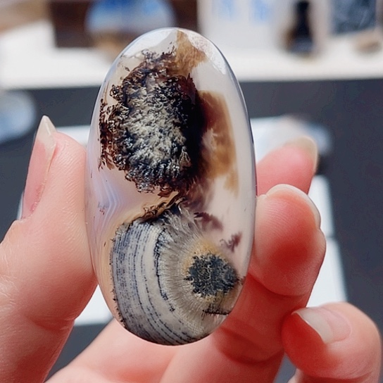 玛瑙/玉髓珠宝奇石未镶嵌