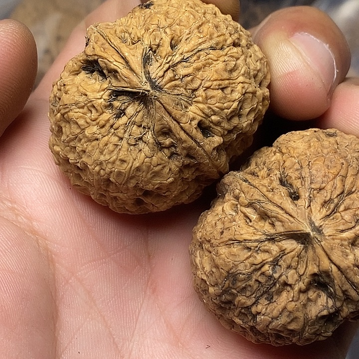 文玩核桃把件志成云铁文玩5