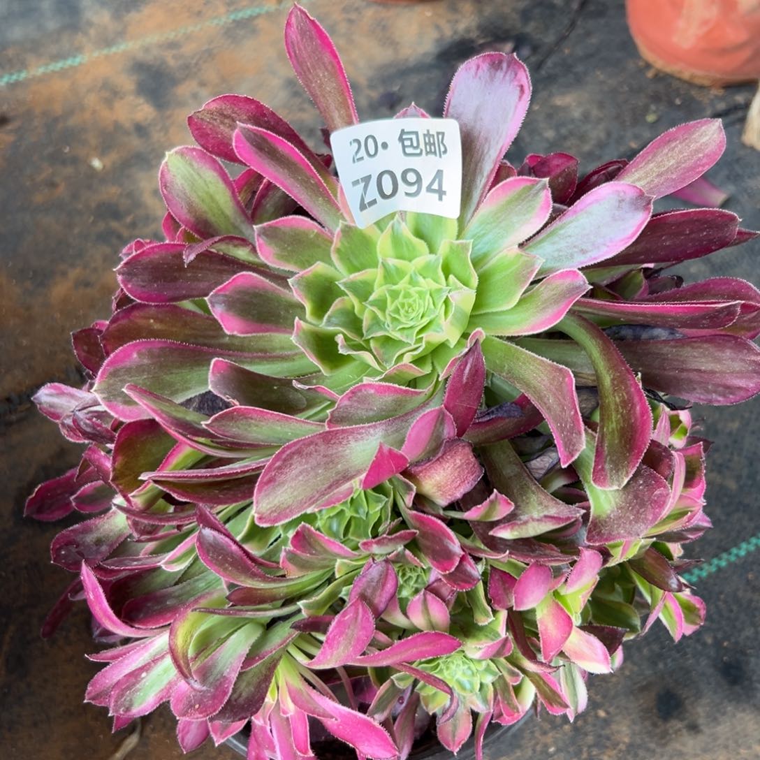 094天河，满20包邮