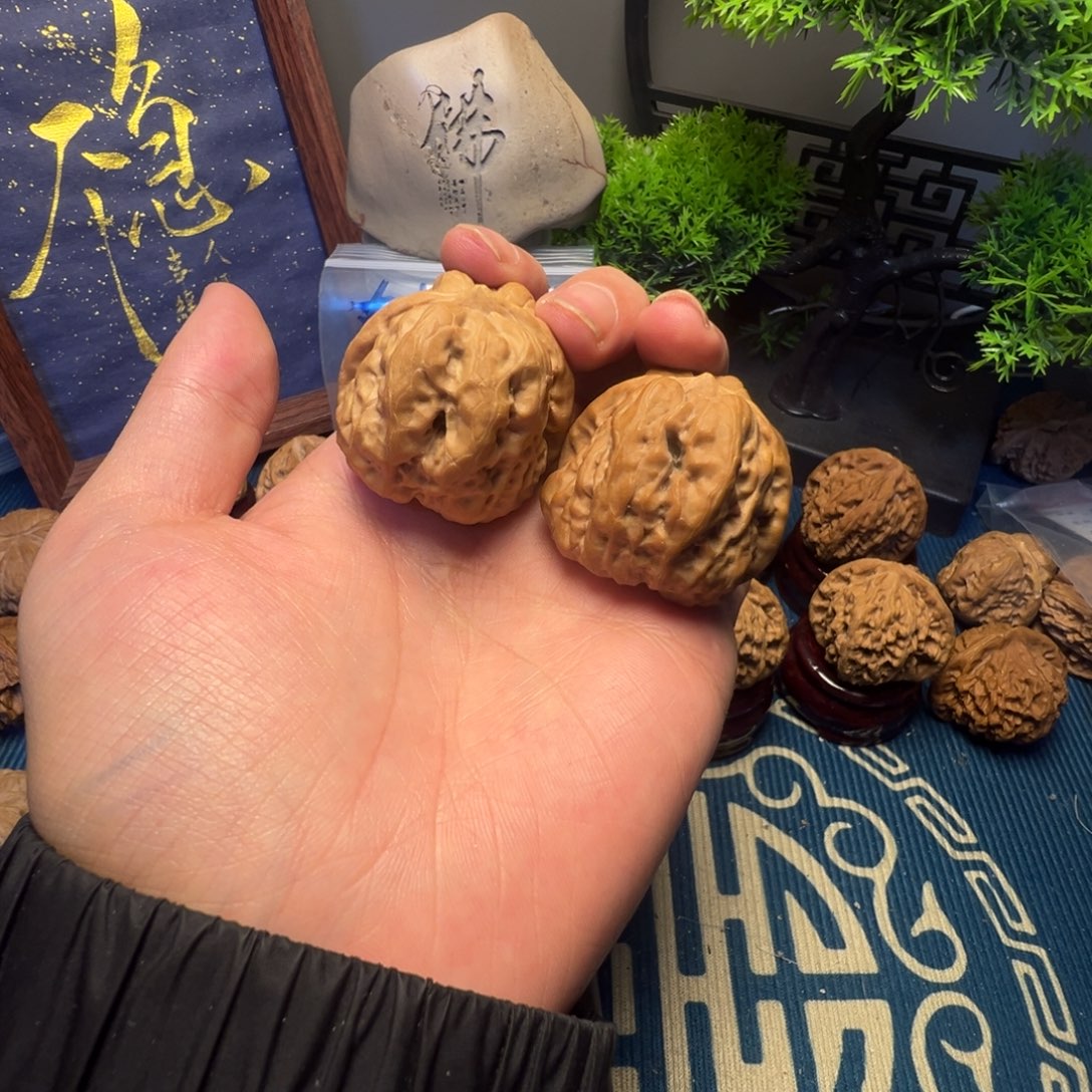 37尺蛤蟆头核桃一对