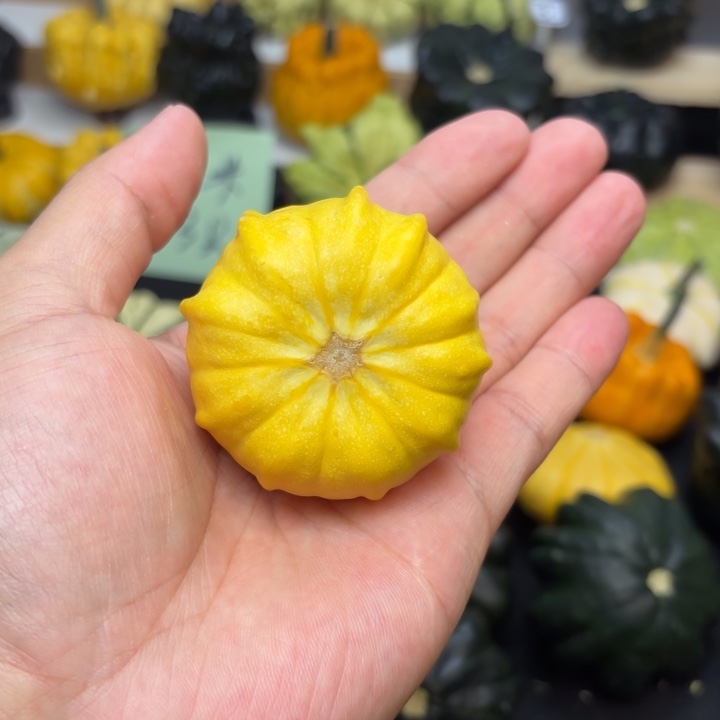 九*福利福利福利福利