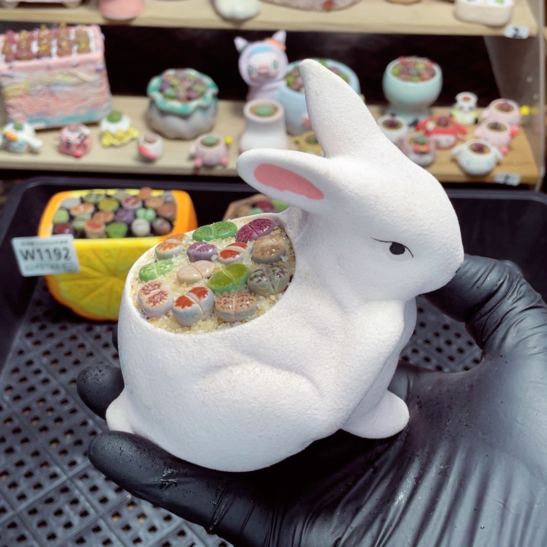 夜间零下地区拍保温箱w 1194