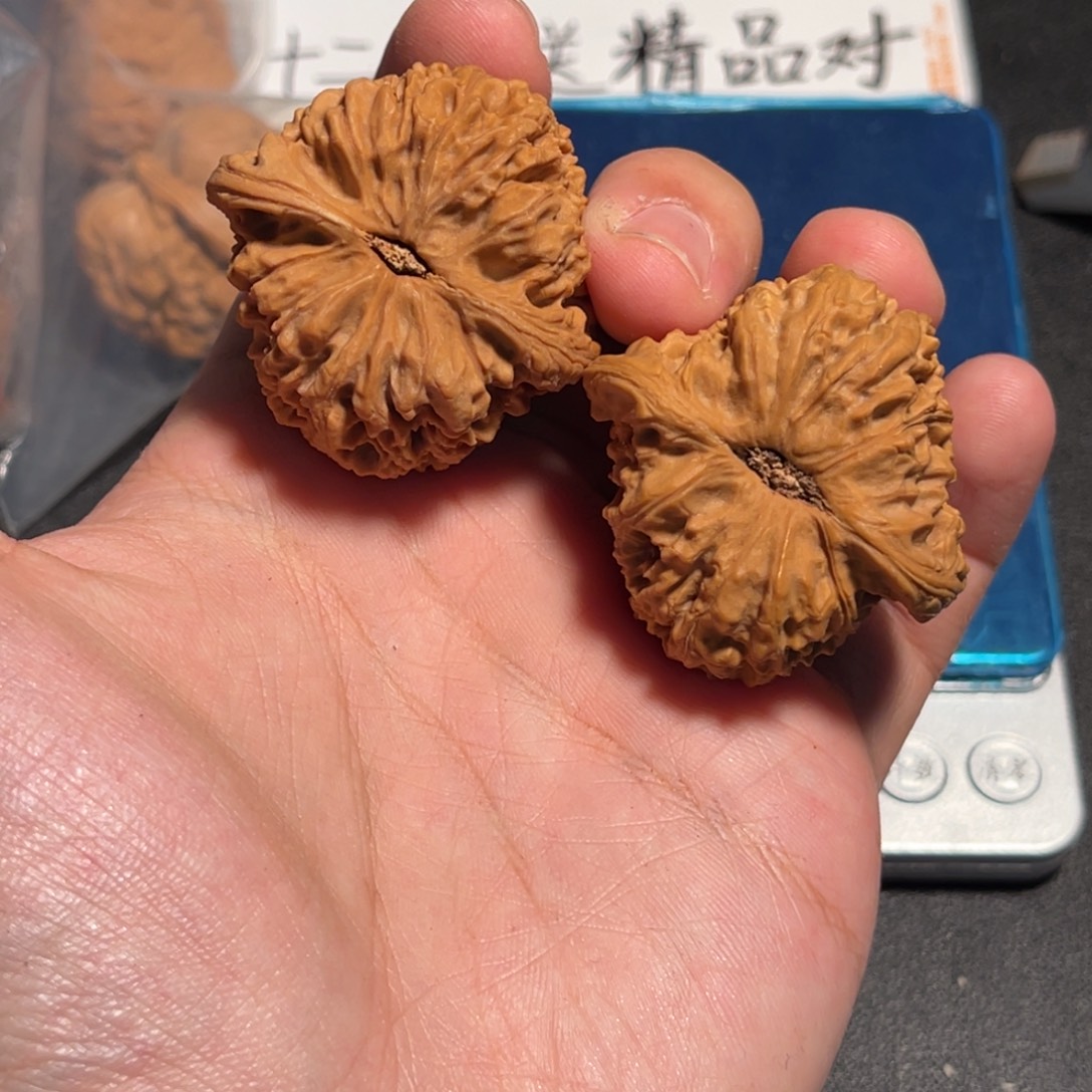 海***涯40全品红皮小天残南疆