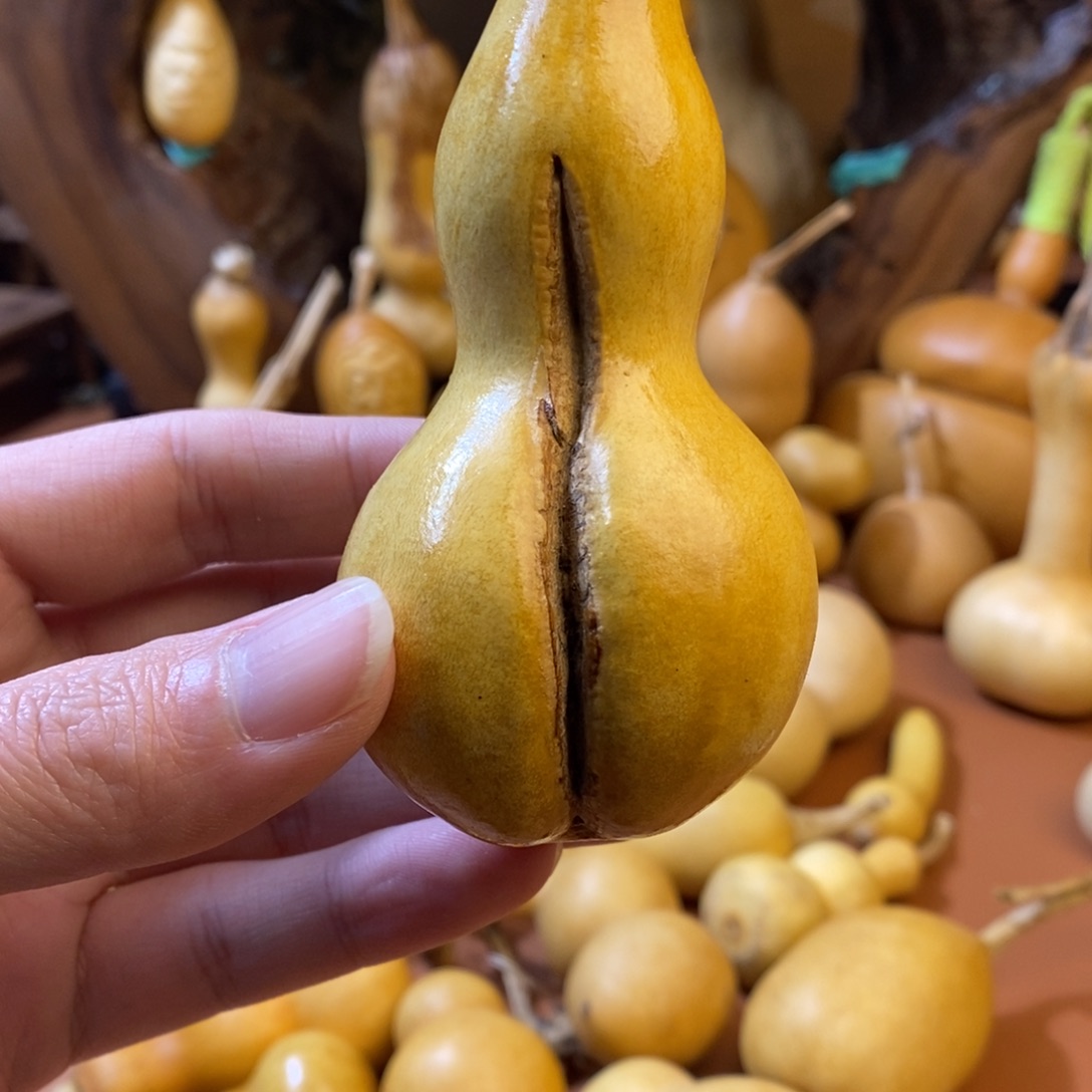 二***哥教练教练教练咯路途啊