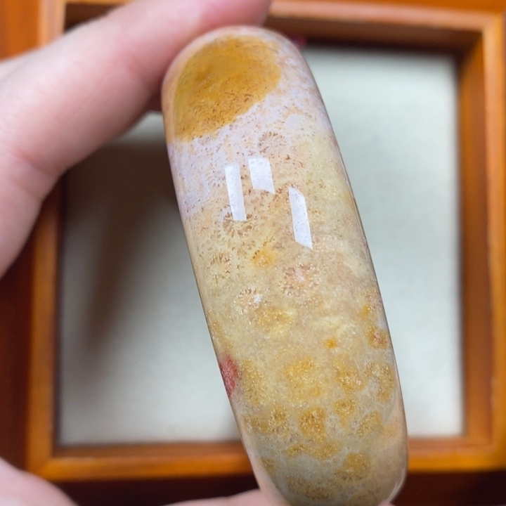 硅化珊瑚（珊瑚玉）手镯未镶嵌54