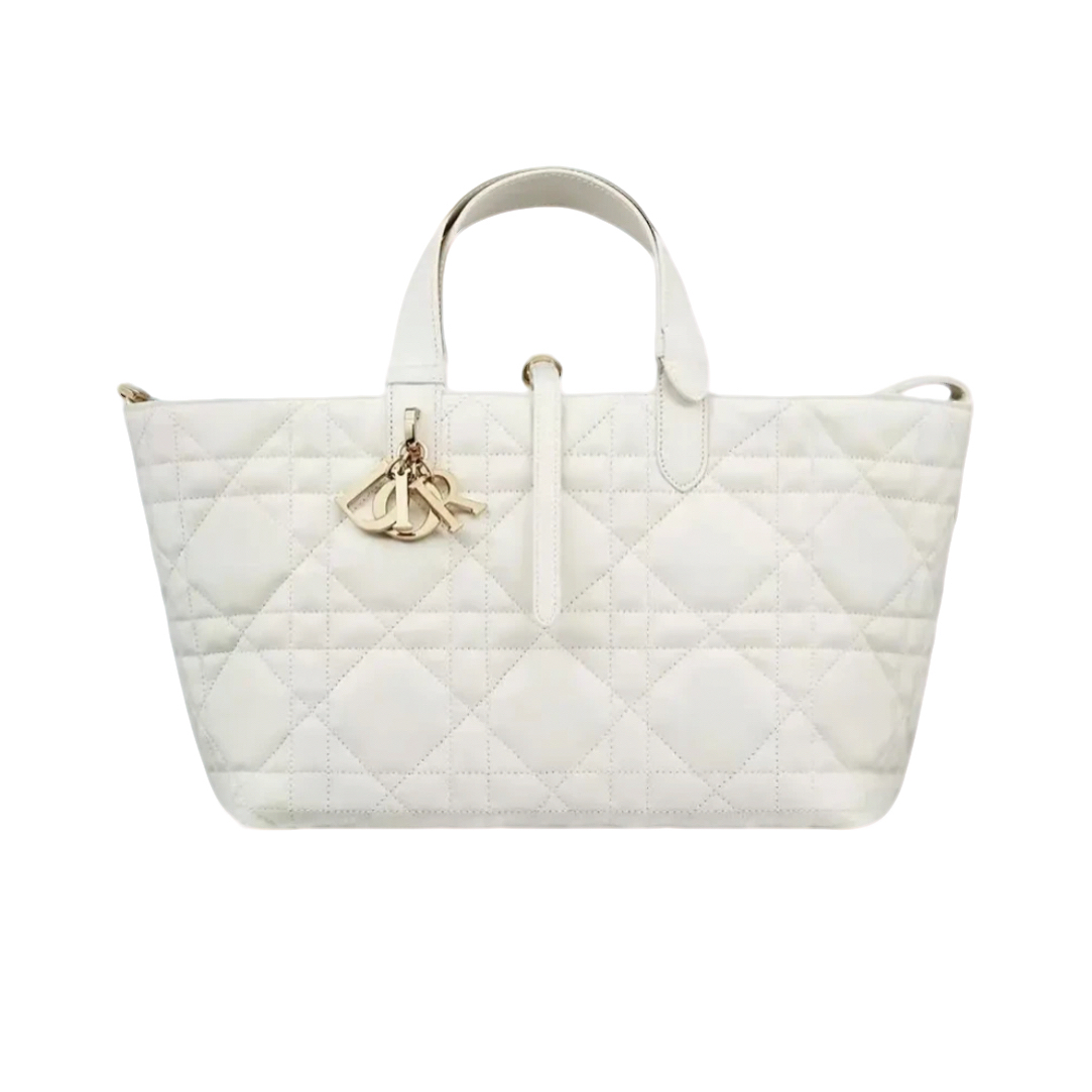 99新 DIOR/迪奥 白金/土著/中号/横版/B6741
