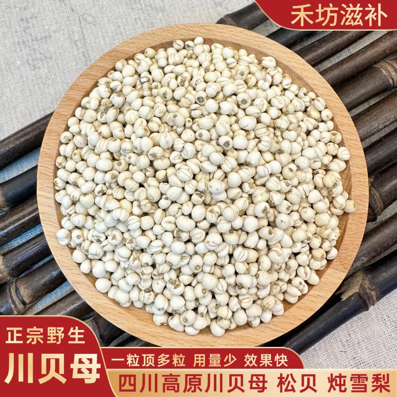 正宗四川川贝母无硫松贝天然贝母冲泡磨粉特级精选品质10克-30克