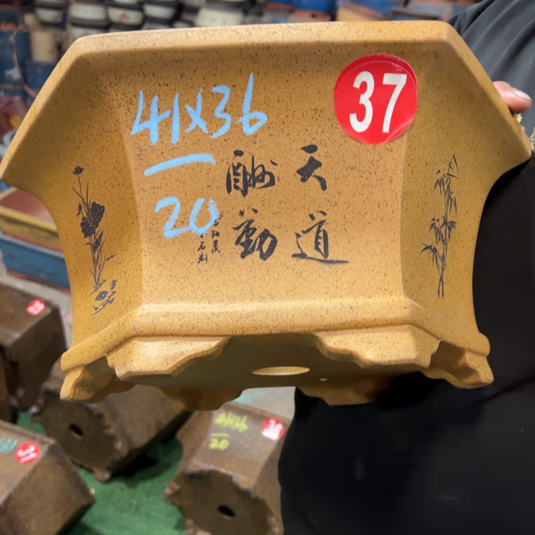 紫砂花盆紫砂花盆