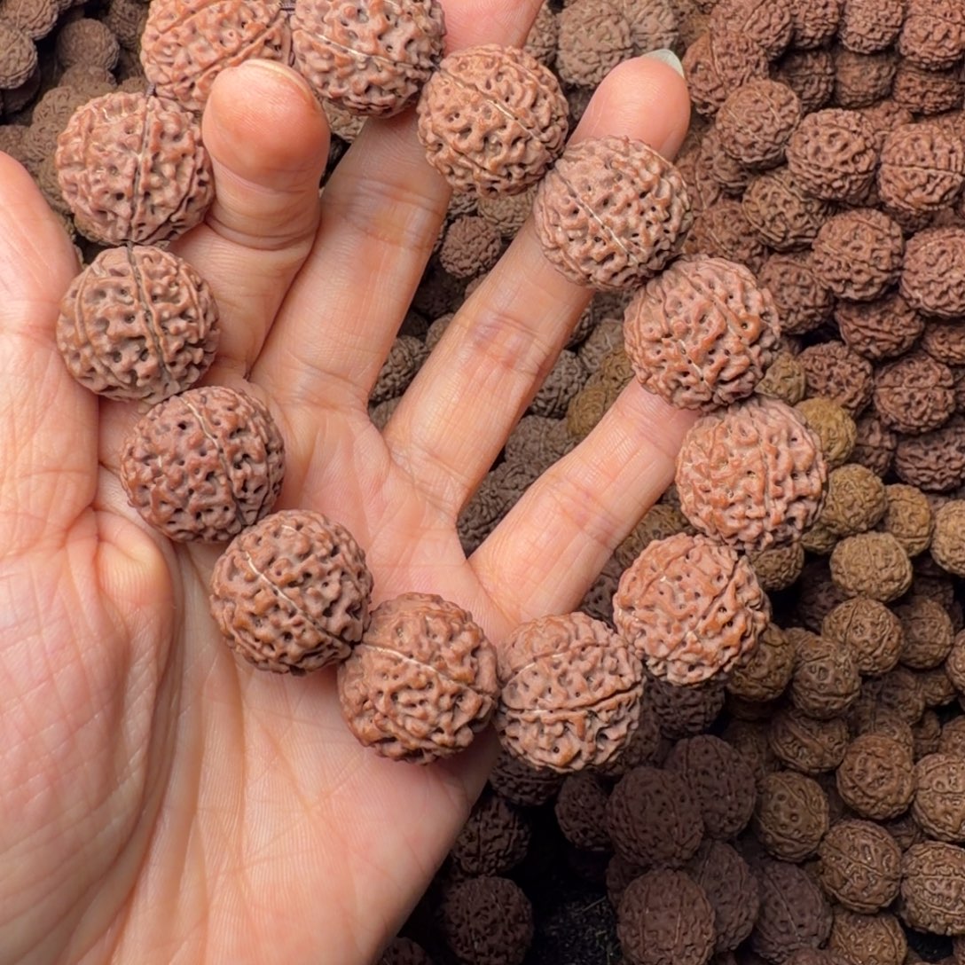 金刚菩提手串8瓣卡20尺，19号