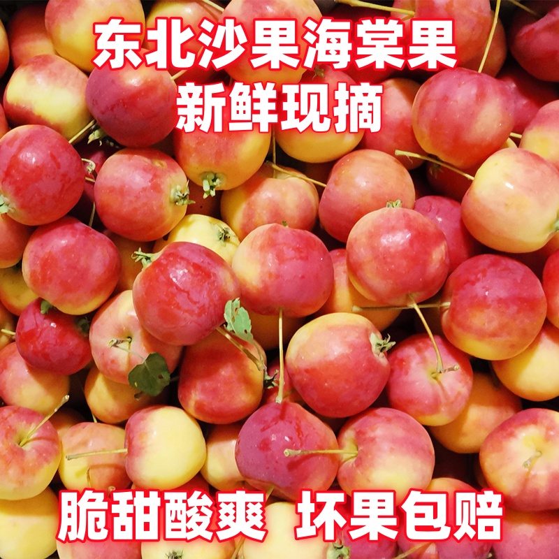 东北沙果黄海棠果酸甜脆新鲜现摘现发农家自产直销无残留红太平