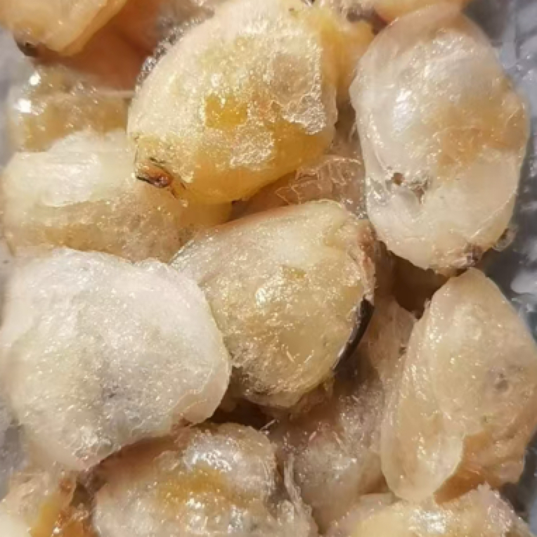 2盒，懂事长手扒大黄蚬子，20-24个头大小，每盒半斤肉，2盒鱼饵包邮