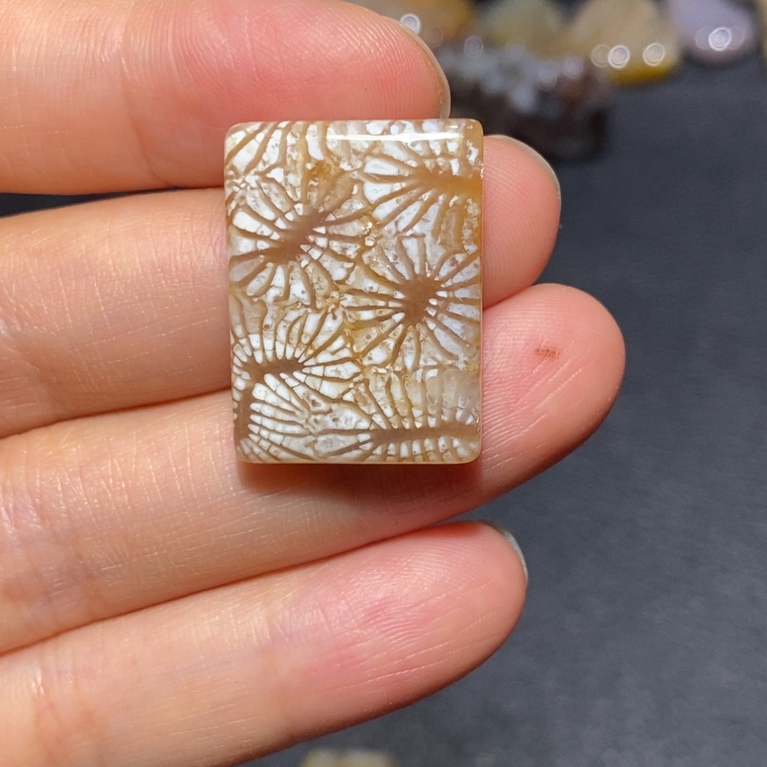 【闪购商品】未镶嵌珊瑚玉硅化玉