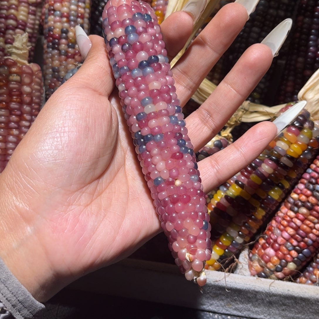 有机玻璃一个圆子