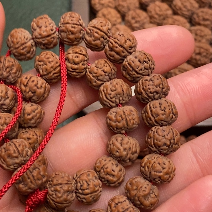 菩提万*冋纯血老树王