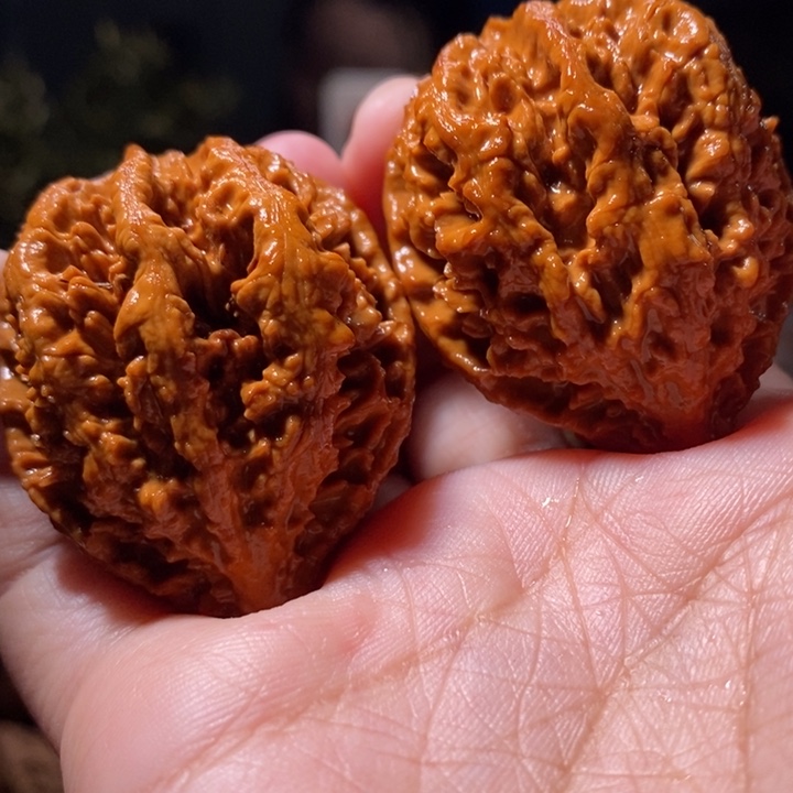 文玩核桃把件东北楸子小路 245