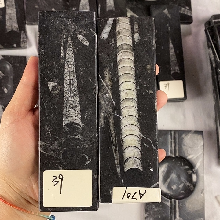 老***杨化石镇尺文房摆件