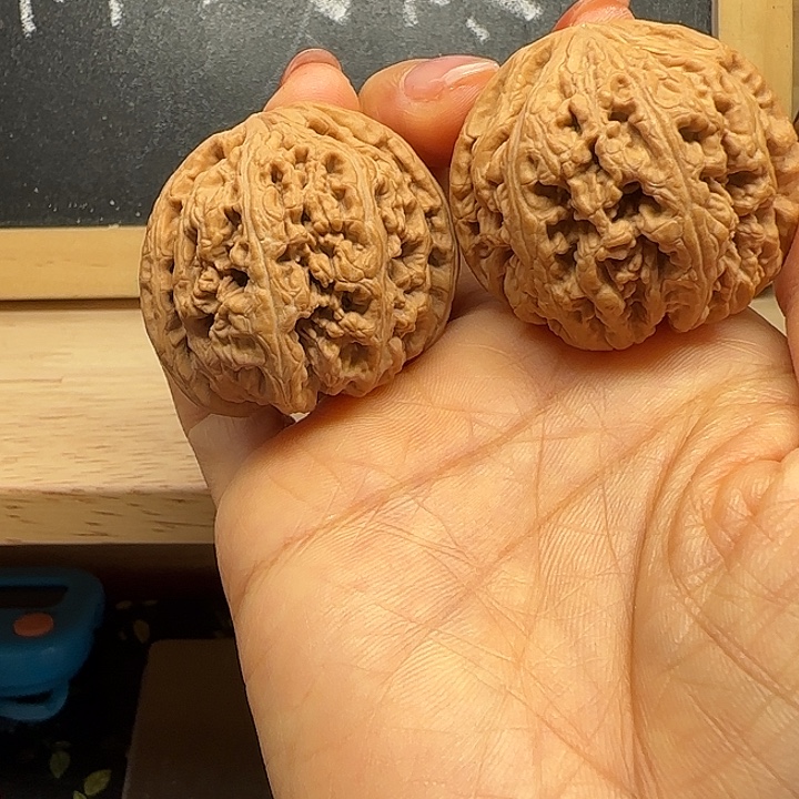 核桃手串/手链粗筋