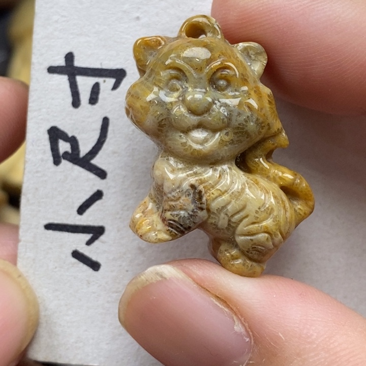 硅化珊瑚（珊瑚玉）未镶嵌颈饰