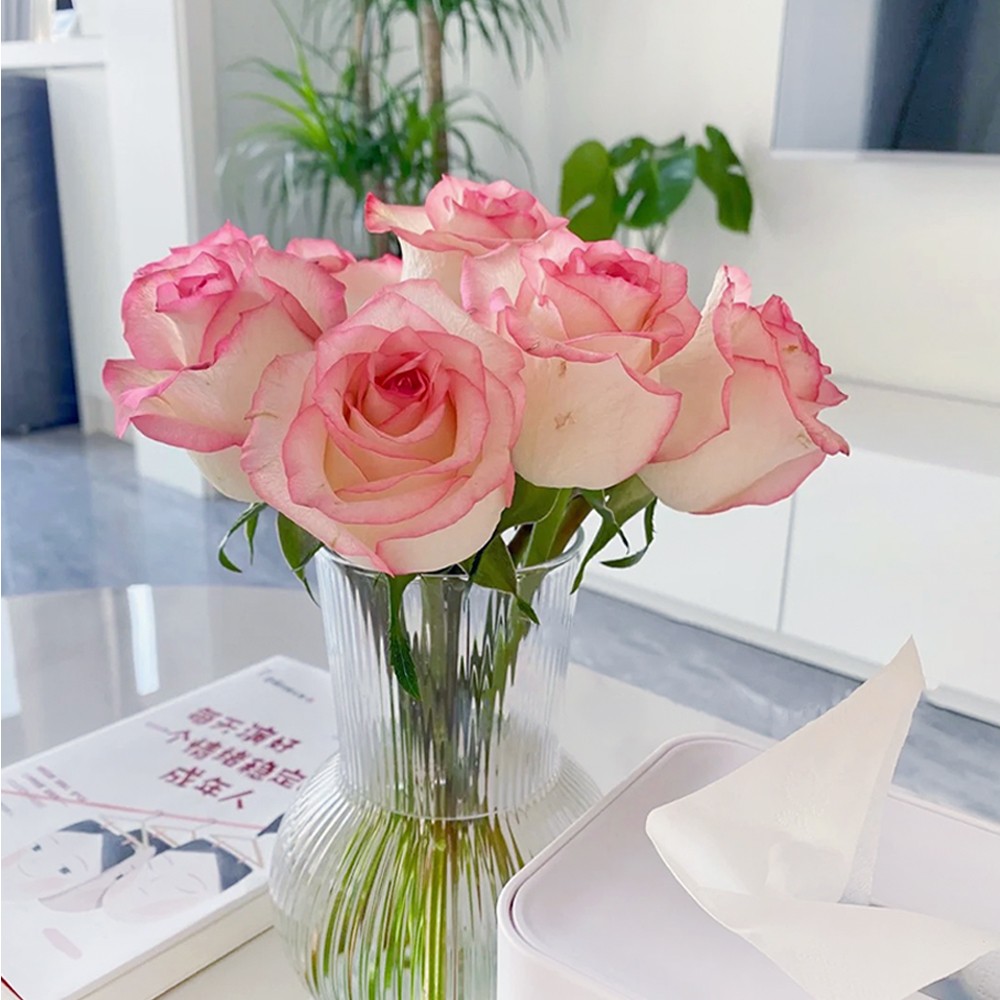 艾莎玫瑰鲜花云南基地直发家用鲜切花中花