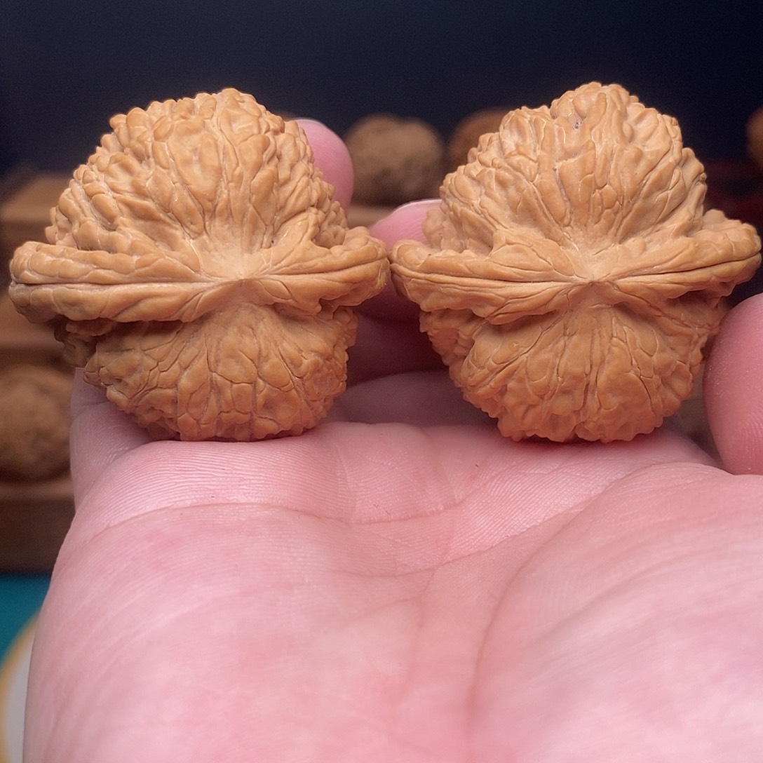 文玩核桃把件45尺狮子