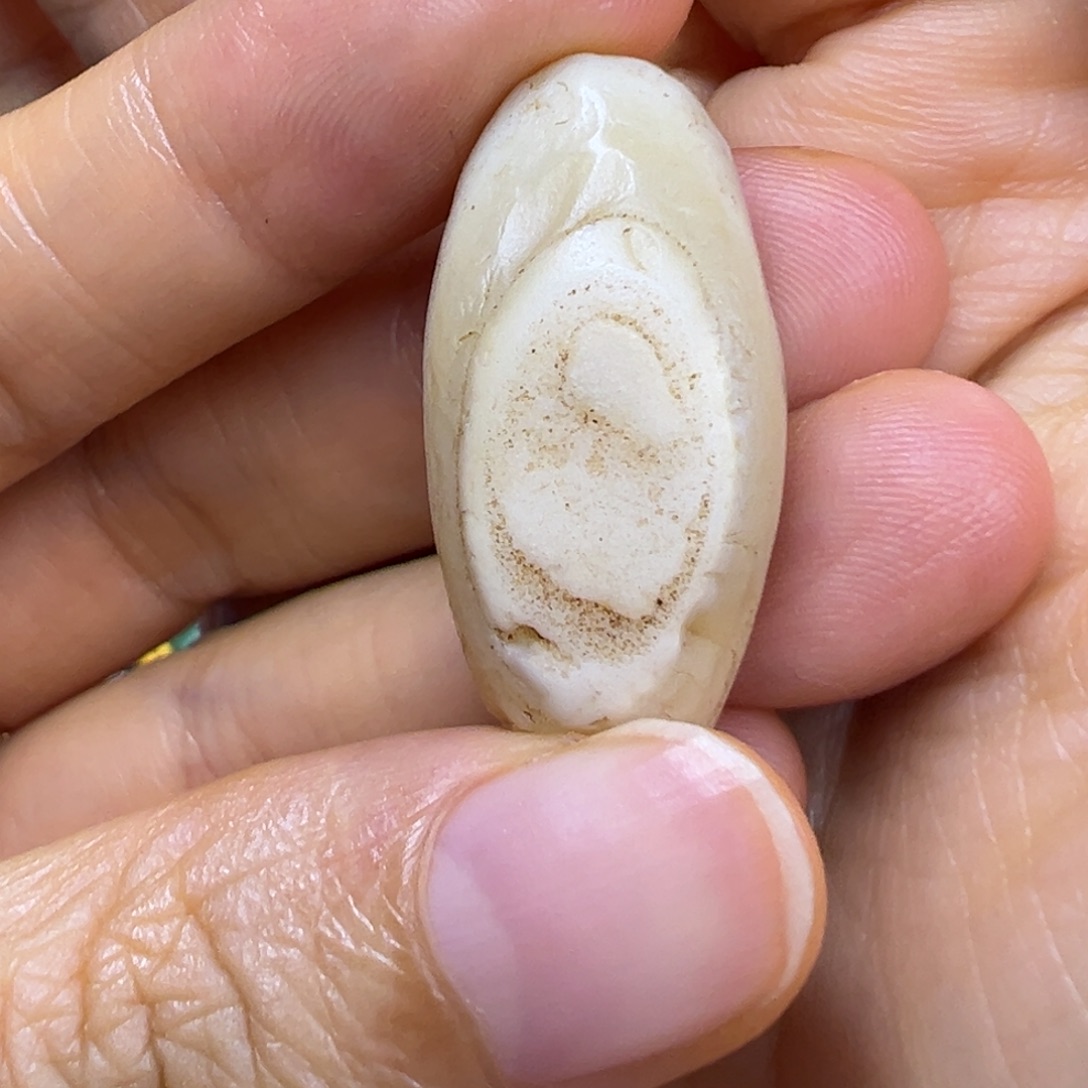 直发专拍专用链接