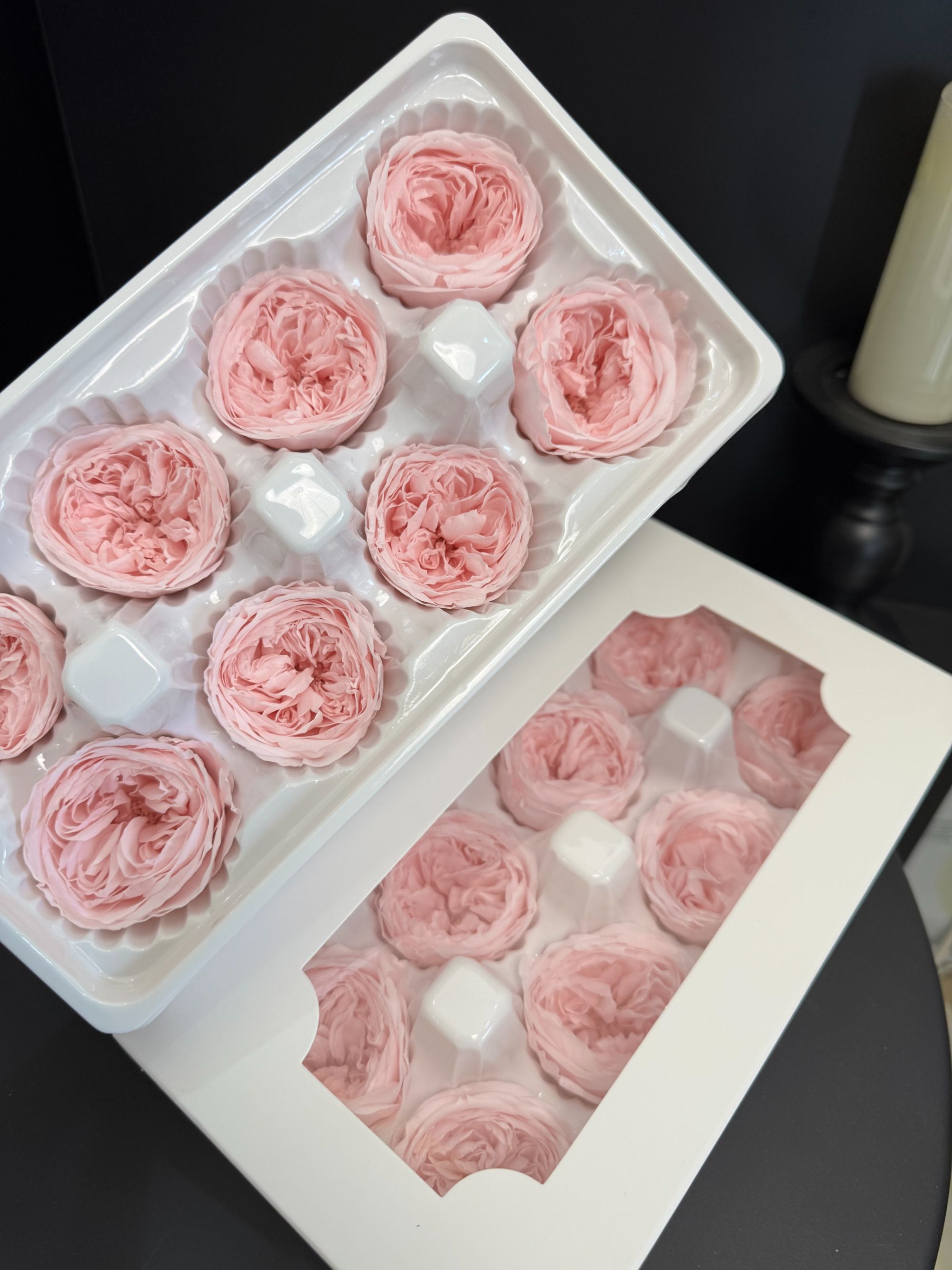 【淡粉色奥斯丁】永生花花材  玫瑰盒装