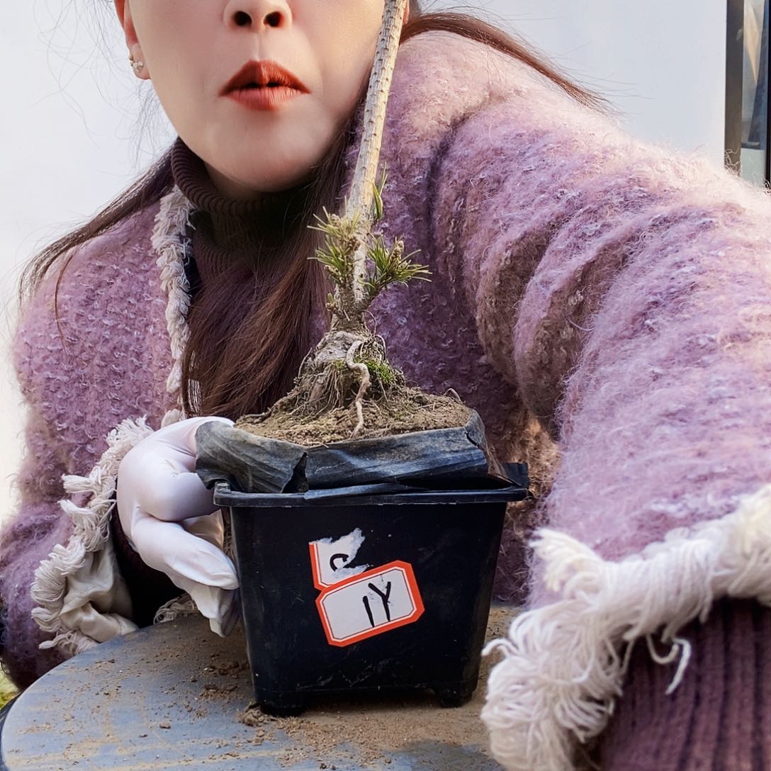 植物形态多年生草本
